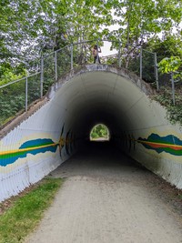 Olive above MV tunnel