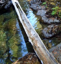 Owyhigh Lakes Trail September