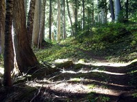 Owyhigh Lakes Trail September