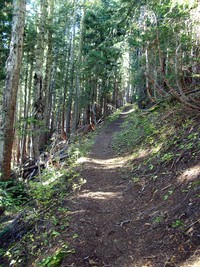 Owyhigh Lakes Trail September