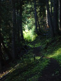 Owyhigh Lakes Trail September