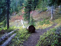 Owyhigh Lakes Trail September