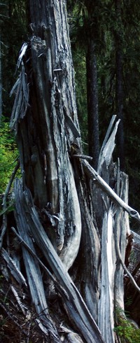 Owyhigh Lakes Trail September