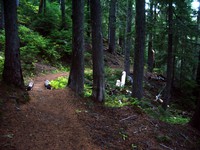 Owyhigh Lakes Trail September