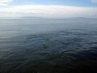 Puget Sound from Fauntleroy Ferry