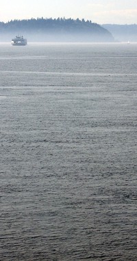 Puget Sound from Fauntleroy Ferry