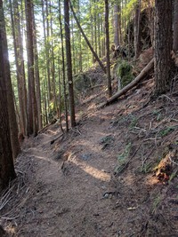 Putrid Pete Dirty Harry trail junction