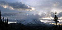 Rainier and clouds from a northern hill