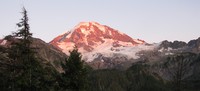 Rainier at sunset from Spray Park Trail