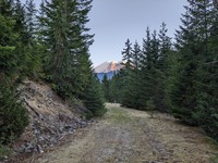 Rainier from Pack Trail