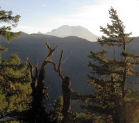 Rainier from Palisades Trail