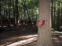 Ranger Creek trail sign