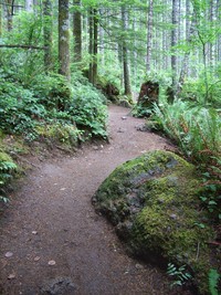 Rattlesnake Ledge Trail