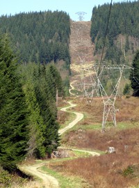 Rattlesnake Mountain power lines