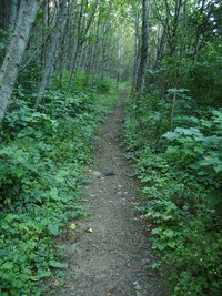 Rattlesnake Mountain trail August