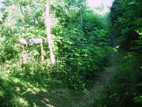 Rattlesnake Mountain trail August