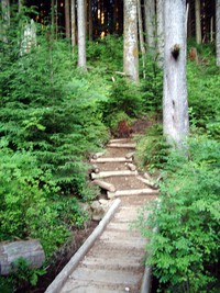 Rattlesnake Mountain trail August