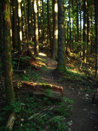 Rattlesnake Mountain trail August