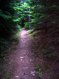 Rattlesnake Mountain trail August