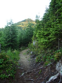 Rattlesnake Mountain trail August