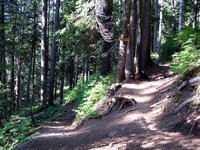 Red Mountain Kendall Katwalk trail split