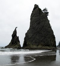 Rialto Beach teeth