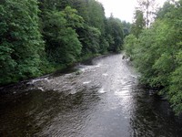 Riverbend downstream
