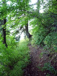Rock Lake trail August