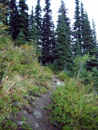 Rock Lake trail August