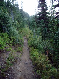 Rock Lake trail August
