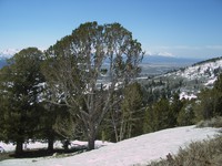 Scott Alex road trip 01 Idaho