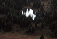 Shadow Lake