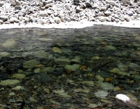 Snoqualmie River winter