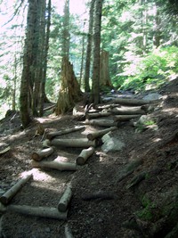 Snow Lake trail July