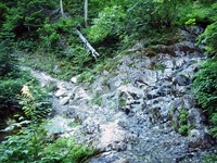 Snow Lake trail July