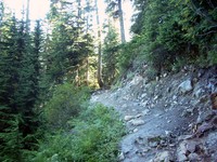 Snow Lake trail July