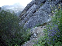 Snow Lake trail July