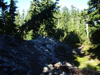 Snow Lake trail July