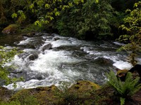 South Fork Snoqualmie river
