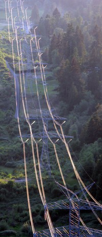 South Tiger Mountain power lines
