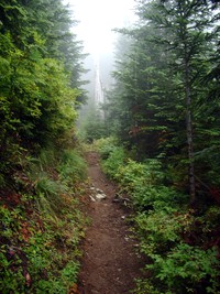 Summit Lake Trail September