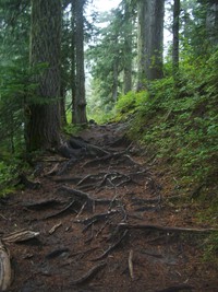 Summit Lake Trail September