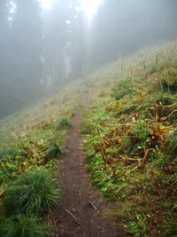 Summit Lake Trail September