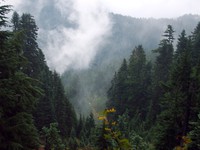 Summit Lake Trail September