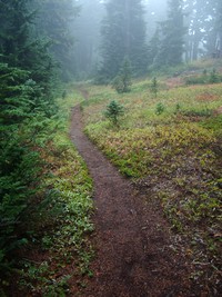 Summit Lake Trail September