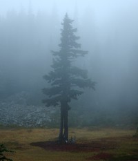 Summit Lake Trail September