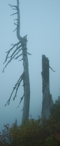 Summit Lake Trail September