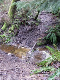 Summit Ridge bike trail