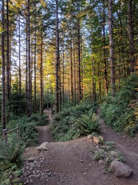 Summit Ridge bike trail