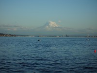 Tahlequah Mt Rainier